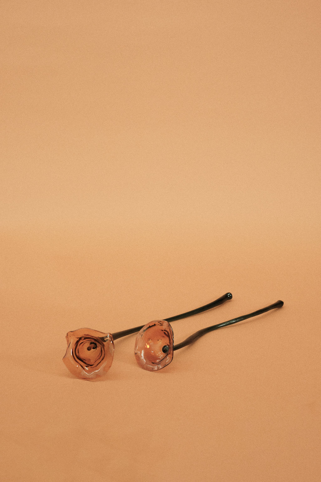 Flor Cala Naranja