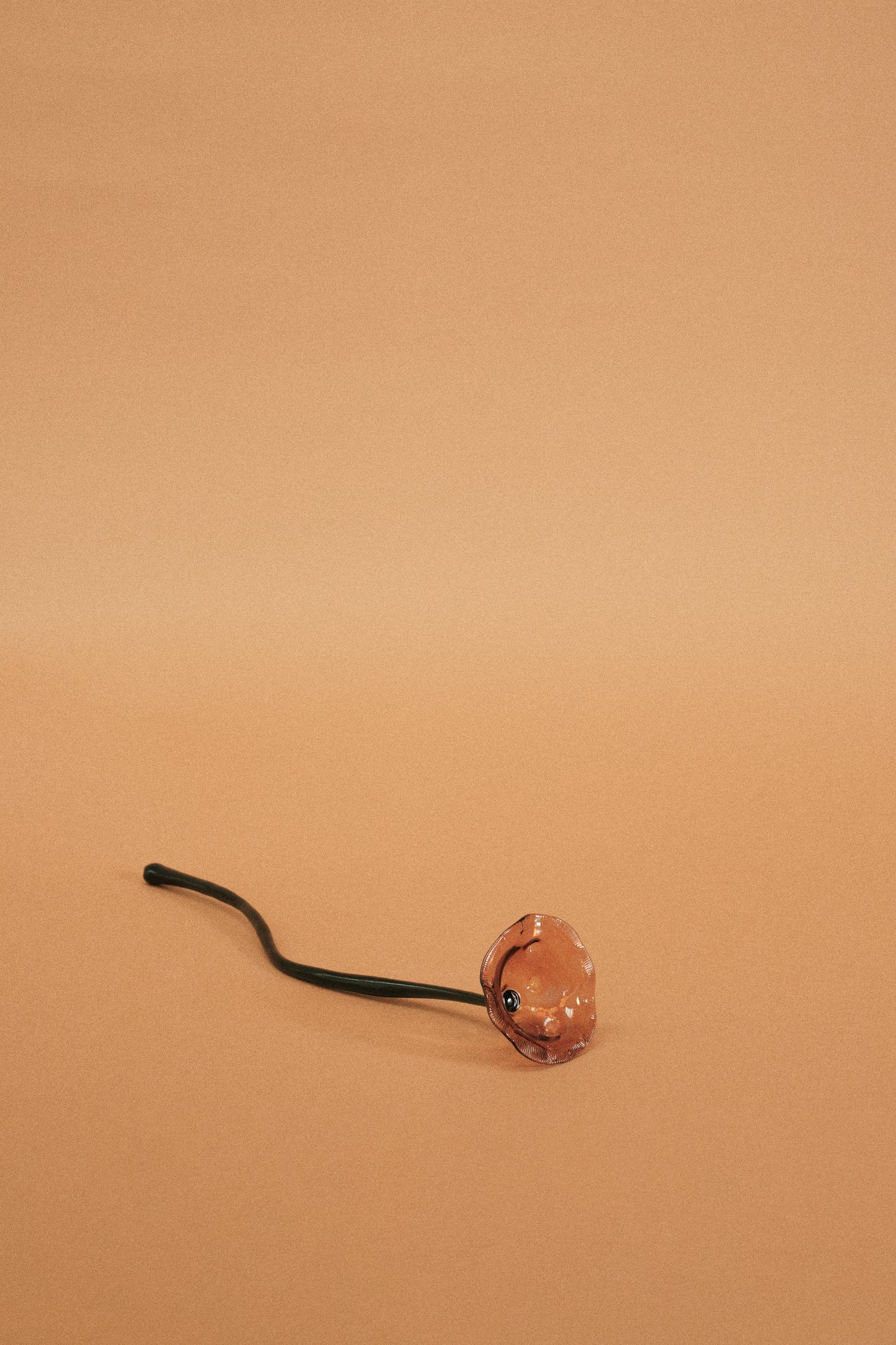Flor Amapola Naranja