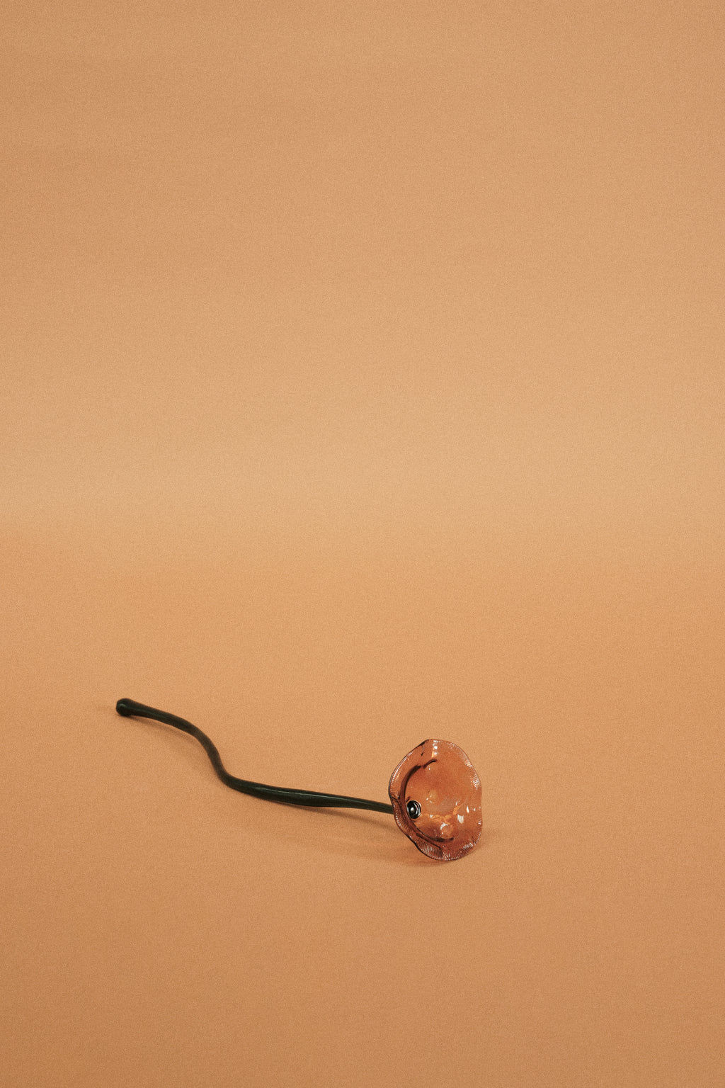 Flor Amapola Naranja