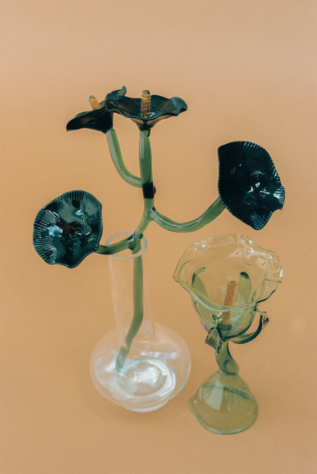 Inflorescencia Negra